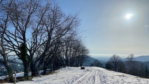 Vallée de Masevaux